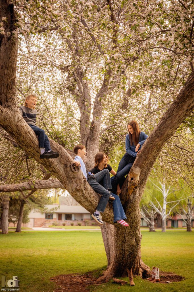 Portrait of four siblings, laughing and talking in the branches of a flowering tree, Downtown Flagstaff, AZ Portraits by KDI Photography