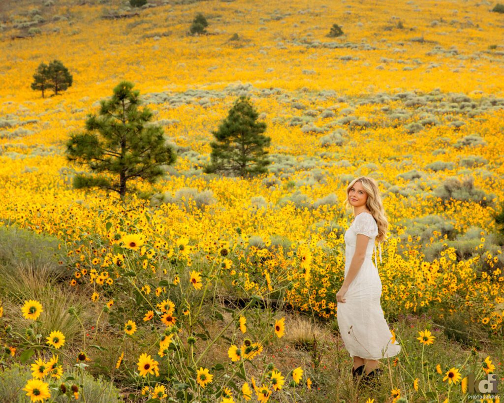Senior Photos of a Girl in White Dress in a Field of Sunflowers Outside of Flagstaff, AZ, Location Portraits by KDI Photography