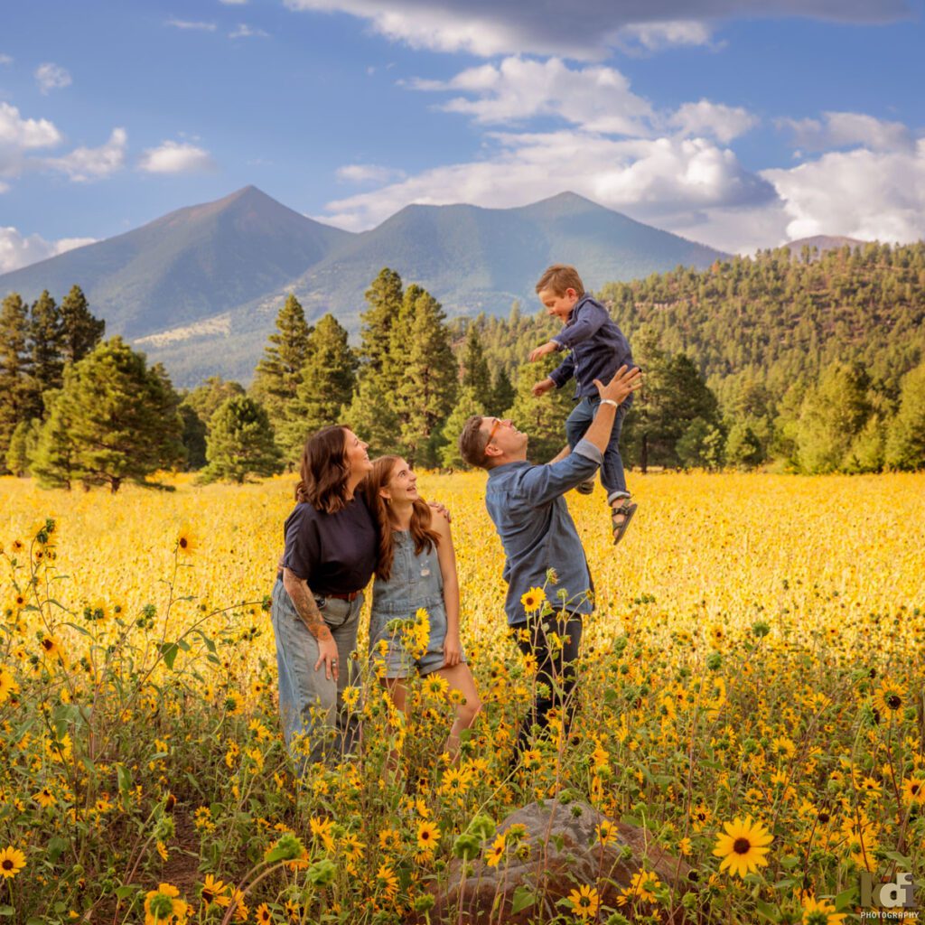 A family photo session in a field of flowers and the San Francisco Peaks, family of four throws son in the air, in Flagstaff Arizona, location portraits by KDI Photography