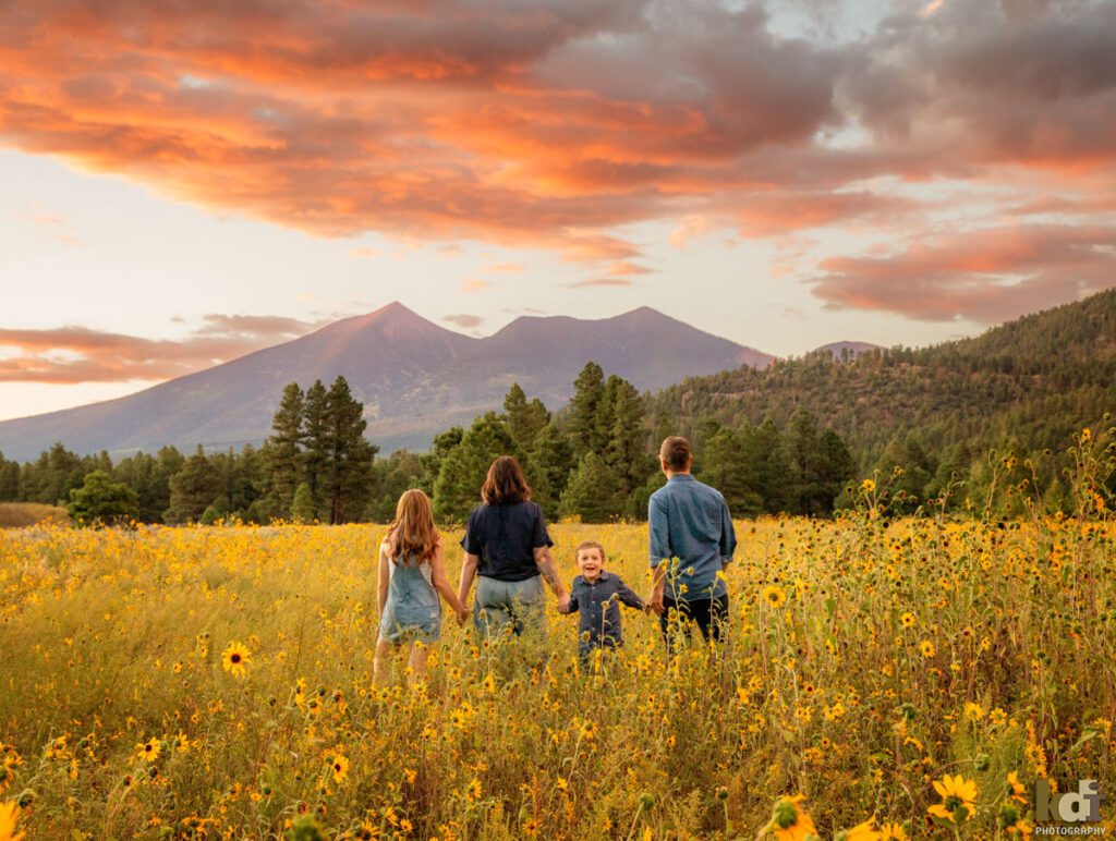 A family photo session in a field of flowers and the San Francisco Peaks, family with son and daughter at sunset in Flagstaff Arizona, location portraits by KDI Photography
